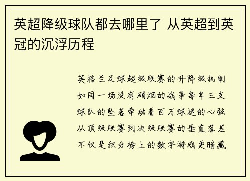英超降级球队都去哪里了 从英超到英冠的沉浮历程